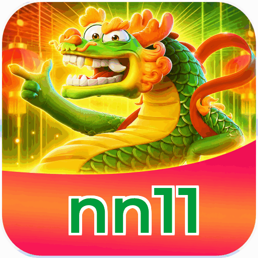 nn11