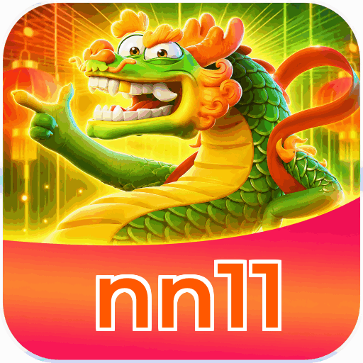 nn11