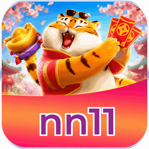 nn11