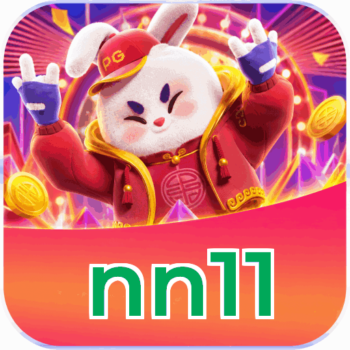 nn11