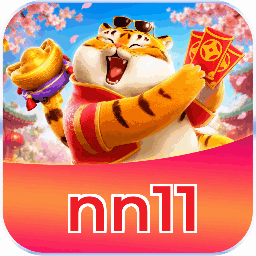 nn11